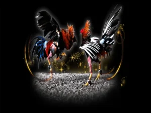 Bí Quyết Chơi Đá Gà Sabong Tại 8KBet Từ Cao Thủ Philippines