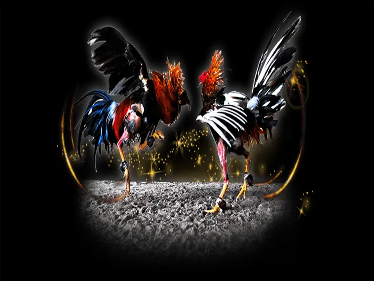 Bí Quyết Chơi Đá Gà Sabong Tại 8KBet Từ Cao Thủ Philippines 1 Bí Quyết Chơi Đá Gà Sabong Tại 8KBet Từ Cao Thủ Philippines